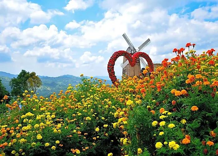 Moriyama マンダウエ・シティ